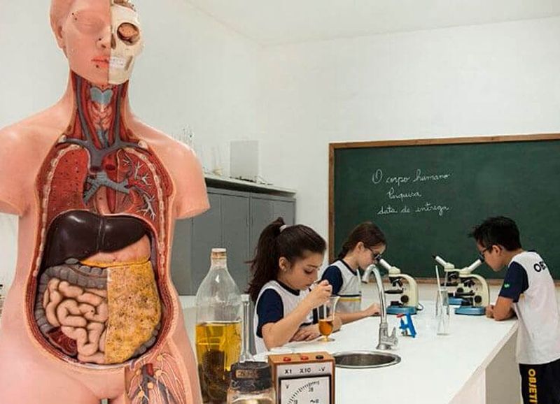 Imagem das estruturas do colegio