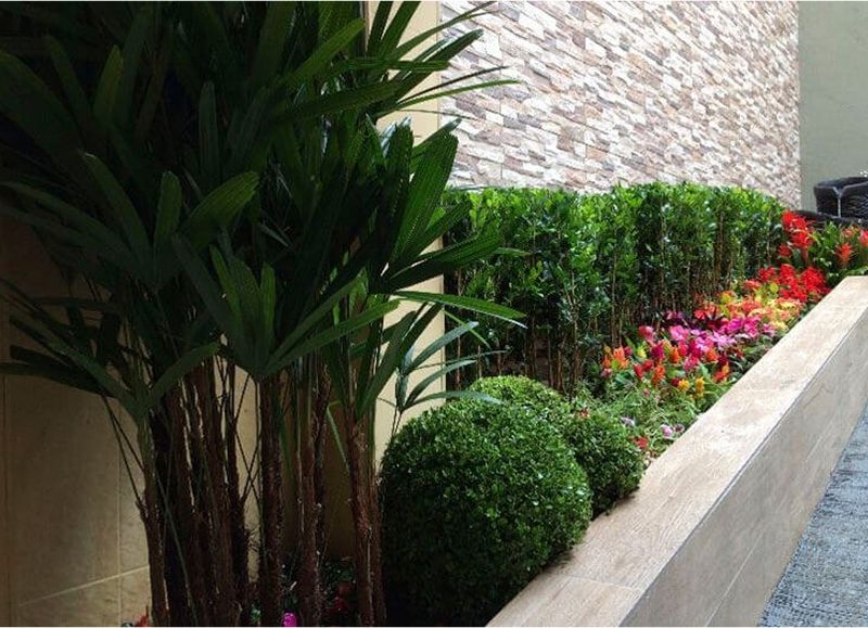 Imagem das estruturas do colegio