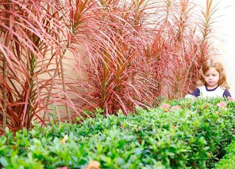 Nosso prédio novo e as salas recém-inauguradas - Estruturas do Colégio Máximo